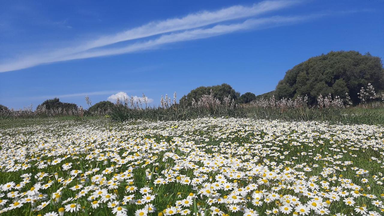 Sa Ruscitta Bed & Breakfast Sant'Antioco Exterior photo